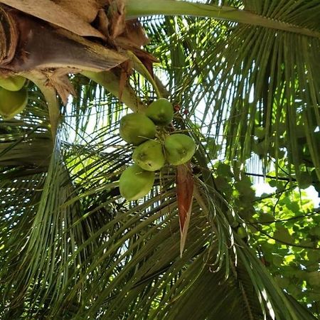 Tiwi Beach Resort & Spa Mombassa Buitenkant foto