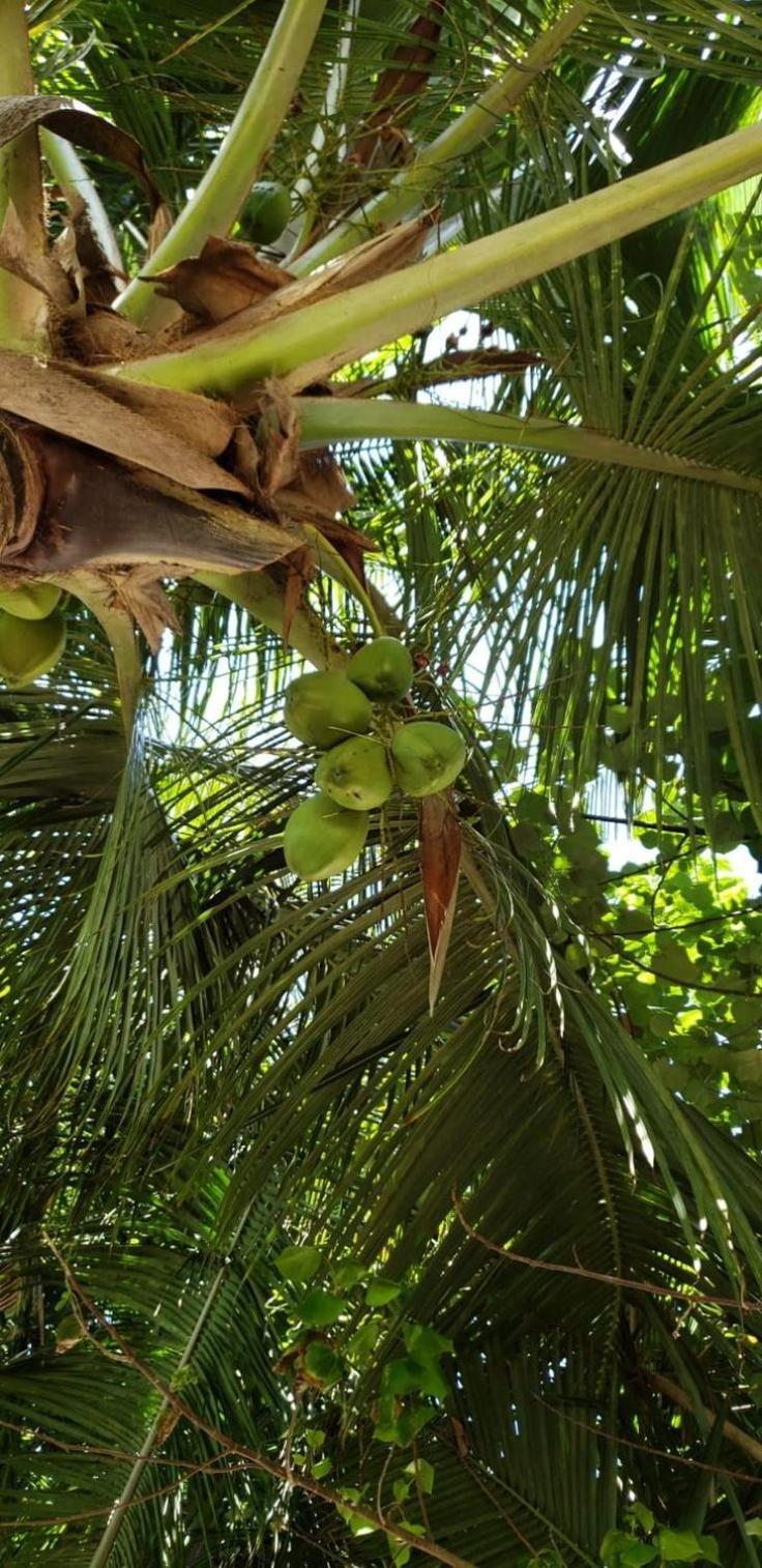 Tiwi Beach Resort & Spa Mombassa Buitenkant foto